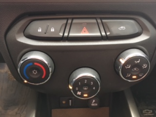 image1 (1).JPG