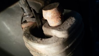 20170502_182029.jpg